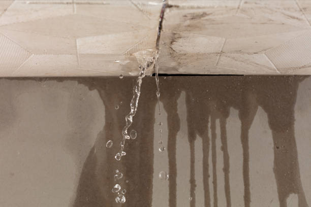 Professional Sewage Cleanup technician working in Kensington, MD